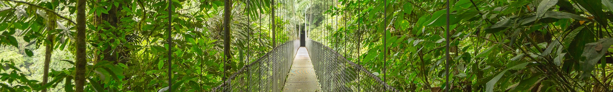 paraiso